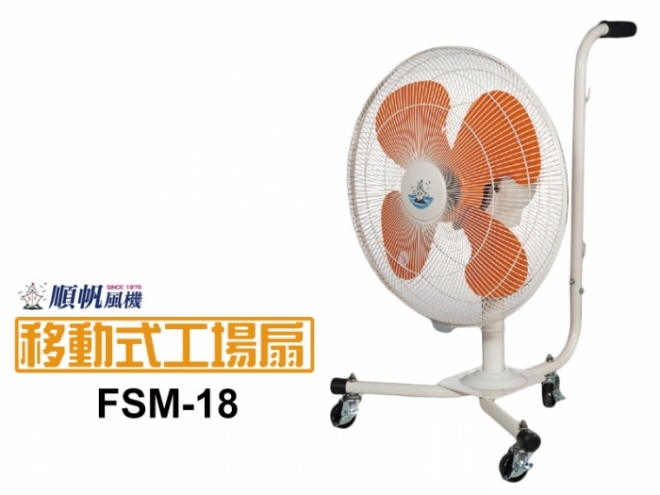 FSM-18-1